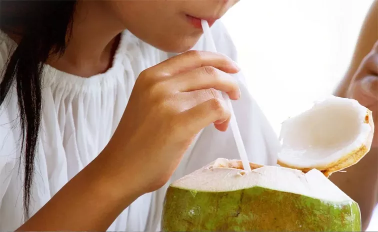 Why Do Not Drink Water From Coconut Directly